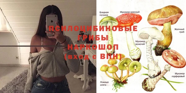дурь Алзамай